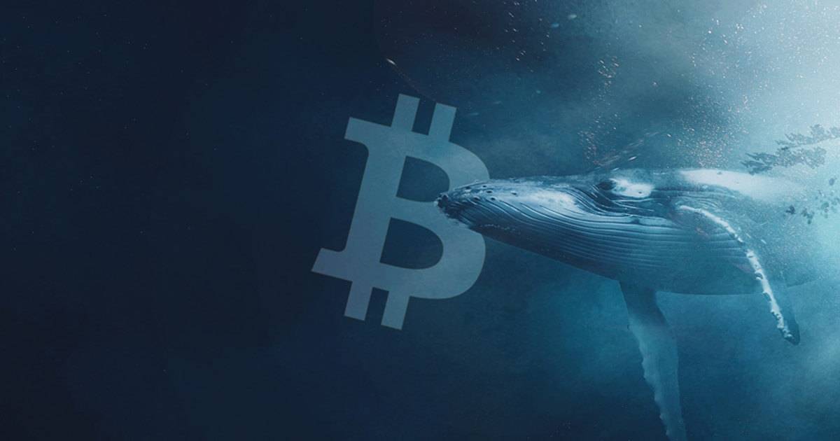 bitcoin 26092024