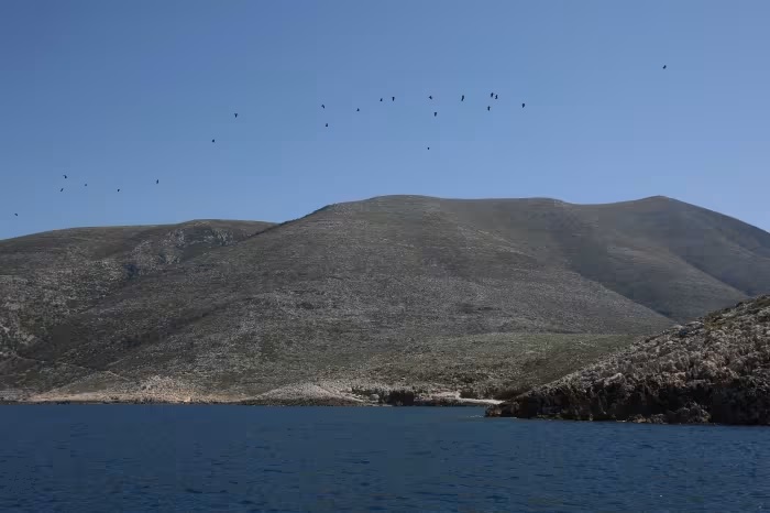 Mediterranean