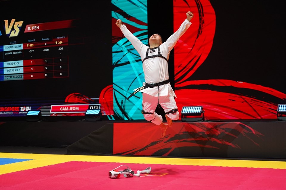 World Virtual Taekwondo Championship (4)
