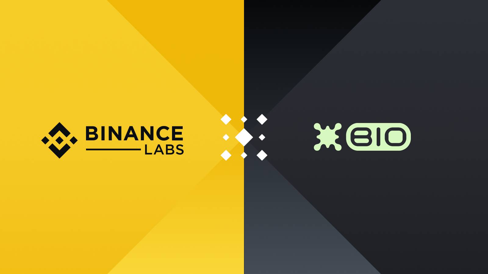 binance labs 10112024