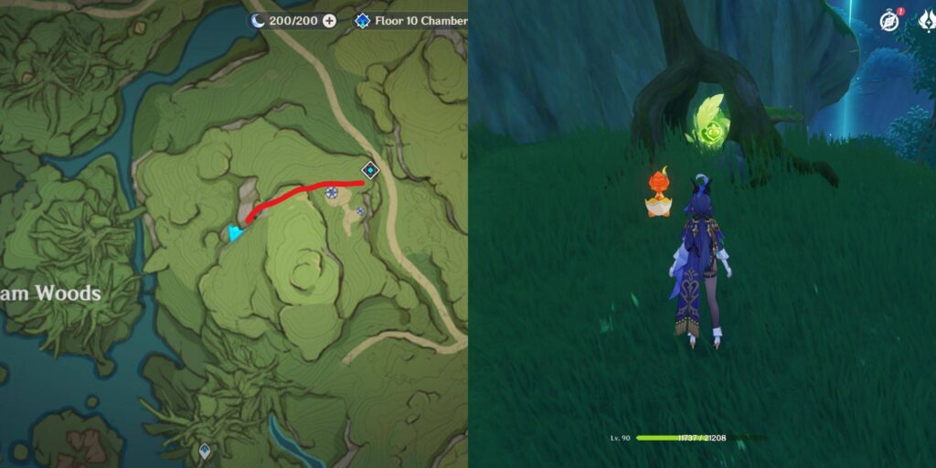 genshin impact ardravi valley dendroculus location 17