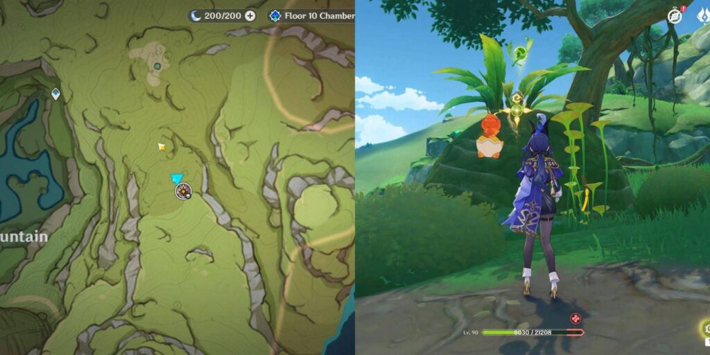 genshin impact ardravi valley dendroculus location 5