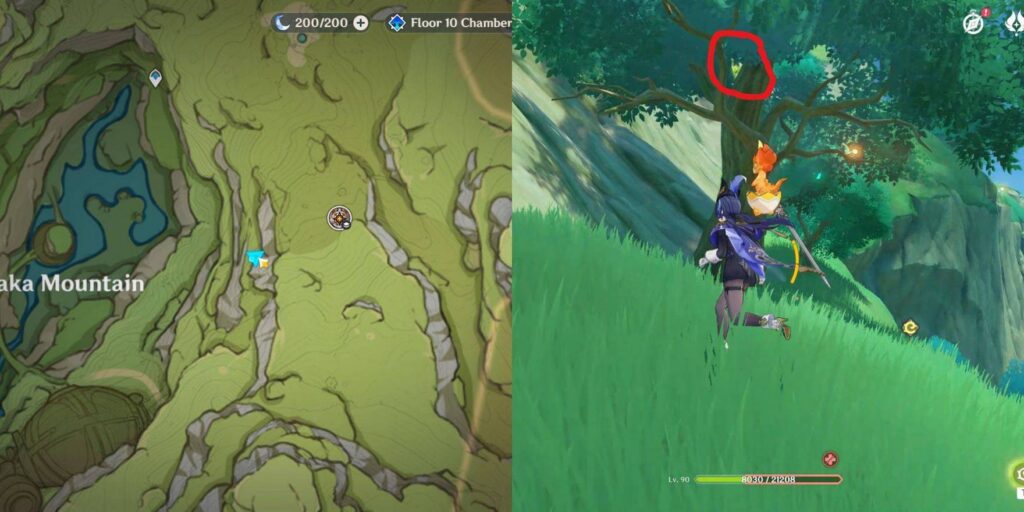 genshin impact ardravi valley dendroculus location 7
