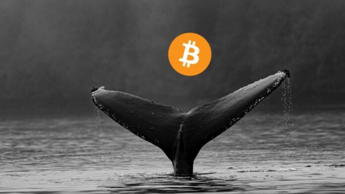bitcoin 14052024