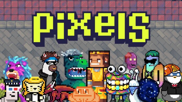 pixels 16052024