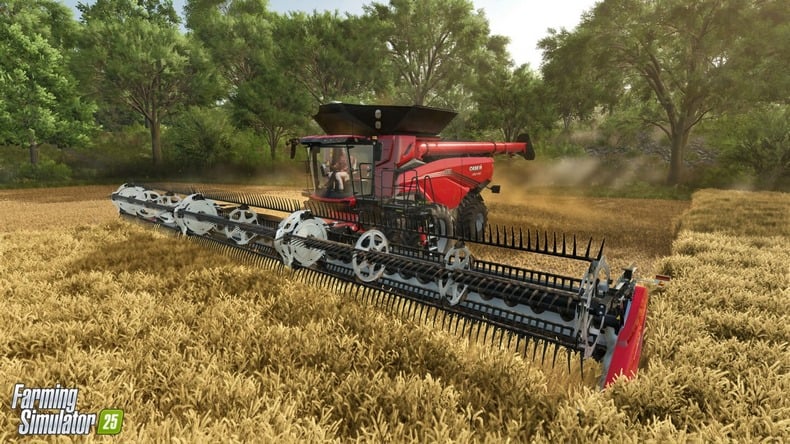 farming simulator 25 n75808