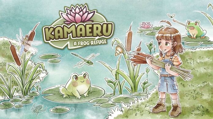 kamaeru 4263243b