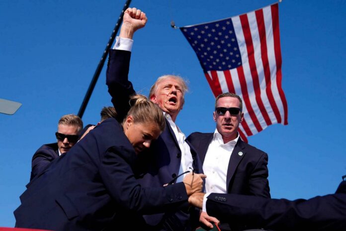 donadl trump fight