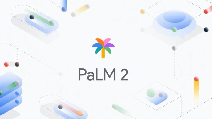 palm 2 10072571 1719822373618 1719822374952310960288