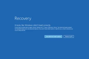 windowsrecovery windowsrecovery