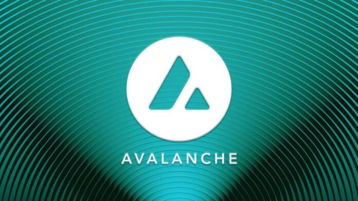 Avalanche 23082024