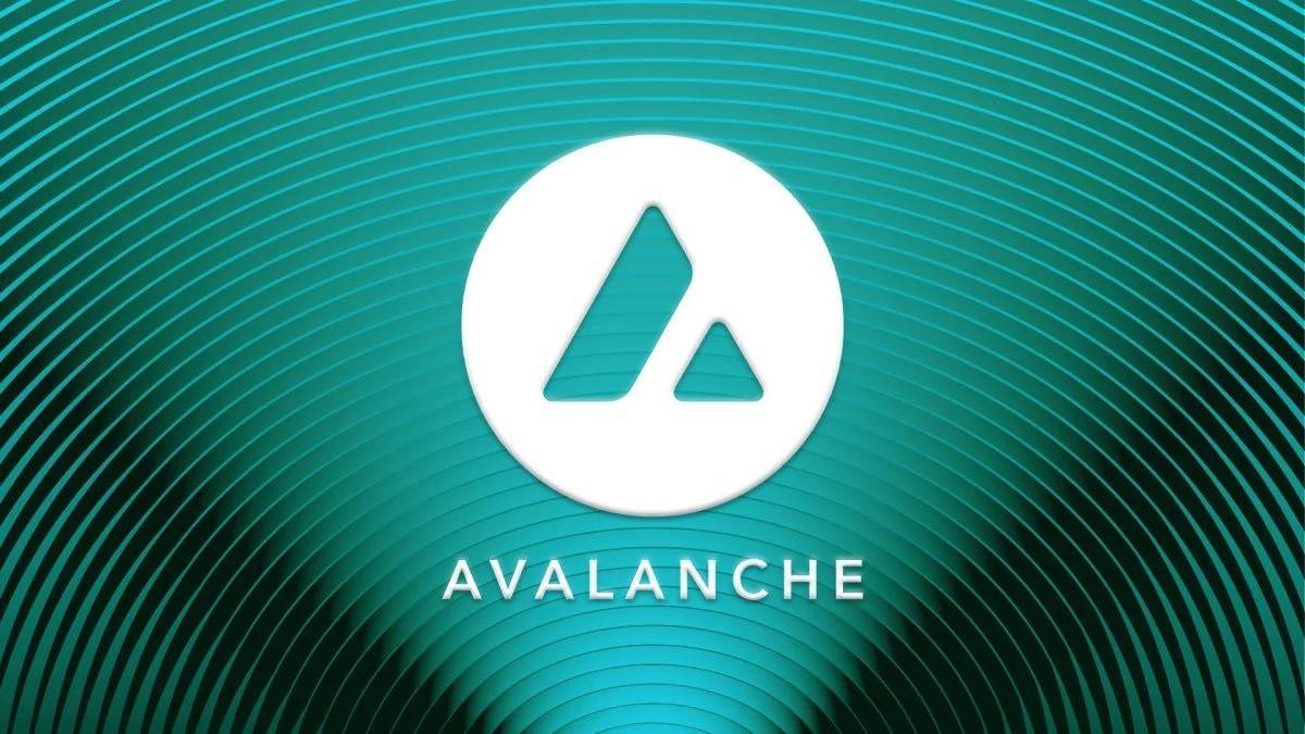 Avalanche-23082024