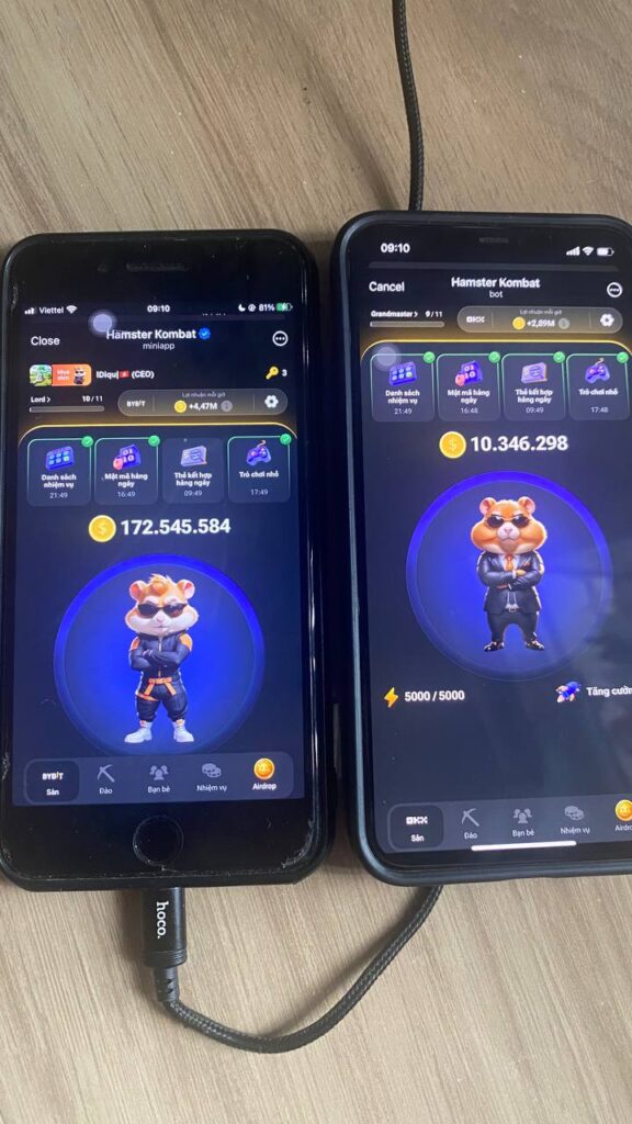 Hamster Kombat 15082024