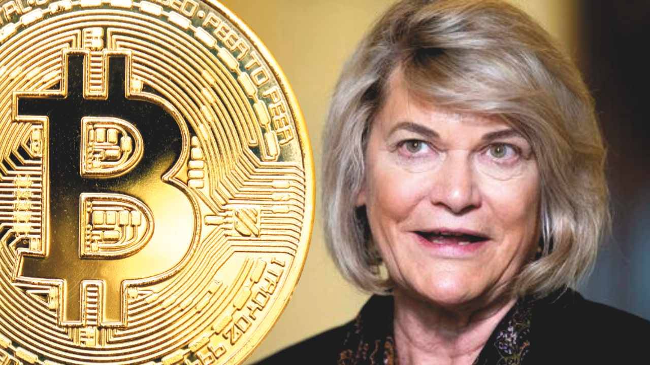 Lummis BTC