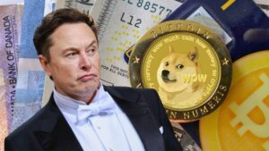 elon musk doge