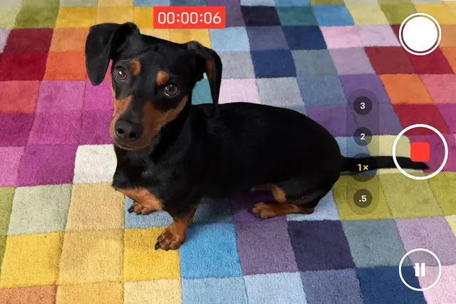 Apple iOS 18 video camera pause