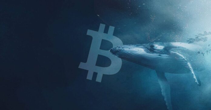 bitcoin 26092024