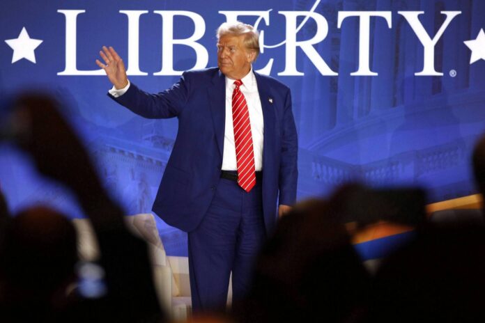 trump 11102024