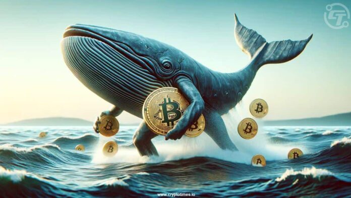 OG Bitcoin Whale Moves 2000 BTC Worth 178M to Coinbase