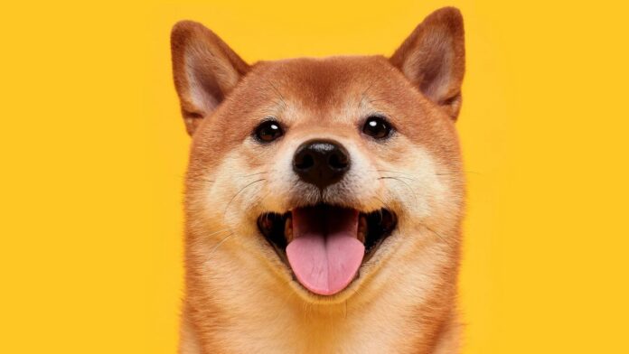 Shiba Inu shutterstock 1604677465 16x9 1 gID 7