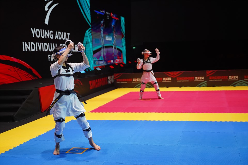 World Virtual Taekwondo Championship 2