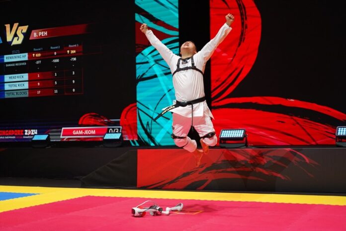 World Virtual Taekwondo Championship 4