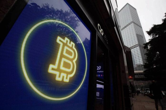 bitcoin bloomberg 11112024