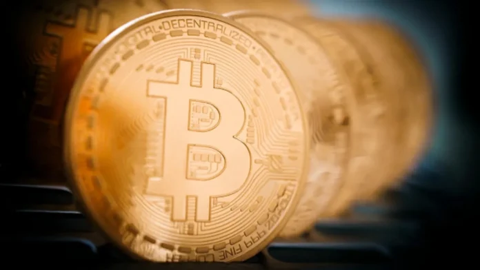 cnbc btc 20112024