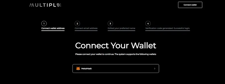 connect wallet multiple