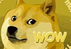 dogecoin 10112024
