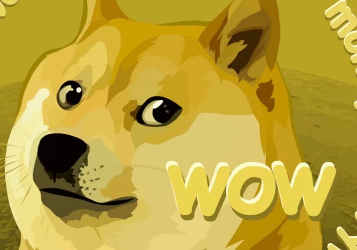 dogecoin 10112024