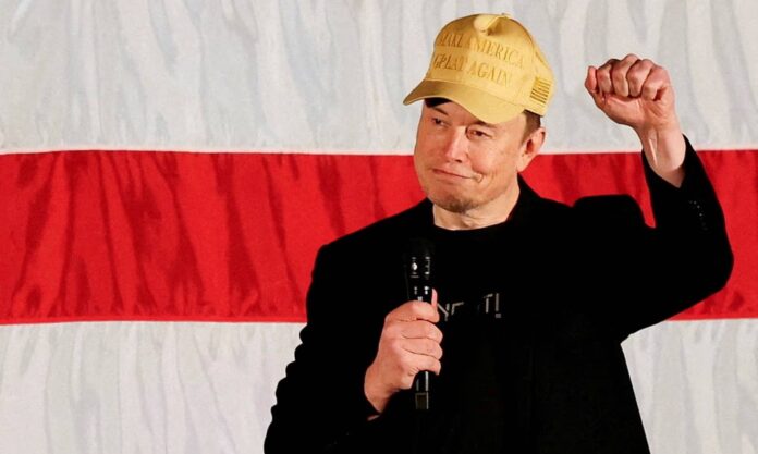 elon musk 13112024