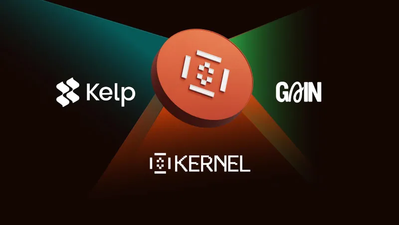 Kernel nhận đầu tư từ Binance Labs 1 kernel token