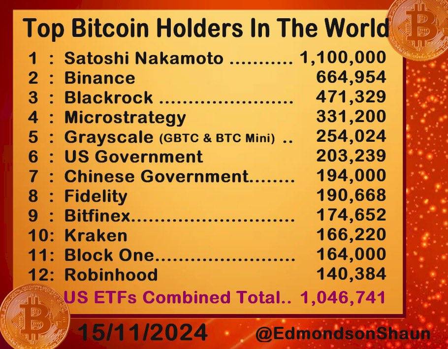 top bitcoin holders 19112024