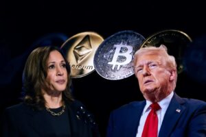 trump harris 06112024