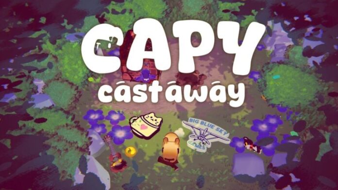 Capy Castaway 2024 12 10 24 008 768x432 1