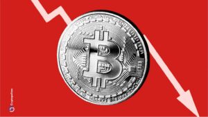 bitcoin 20122024 thumb 1