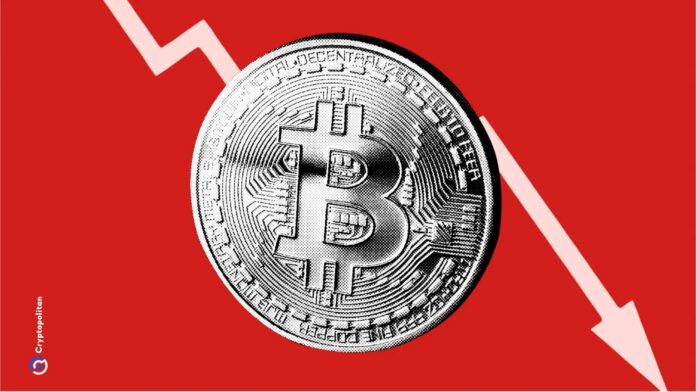 bitcoin 20122024 thumb 1