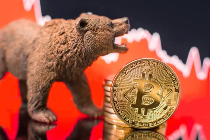 btc bear market gamen.pro