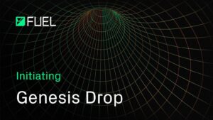 fuel 19122024