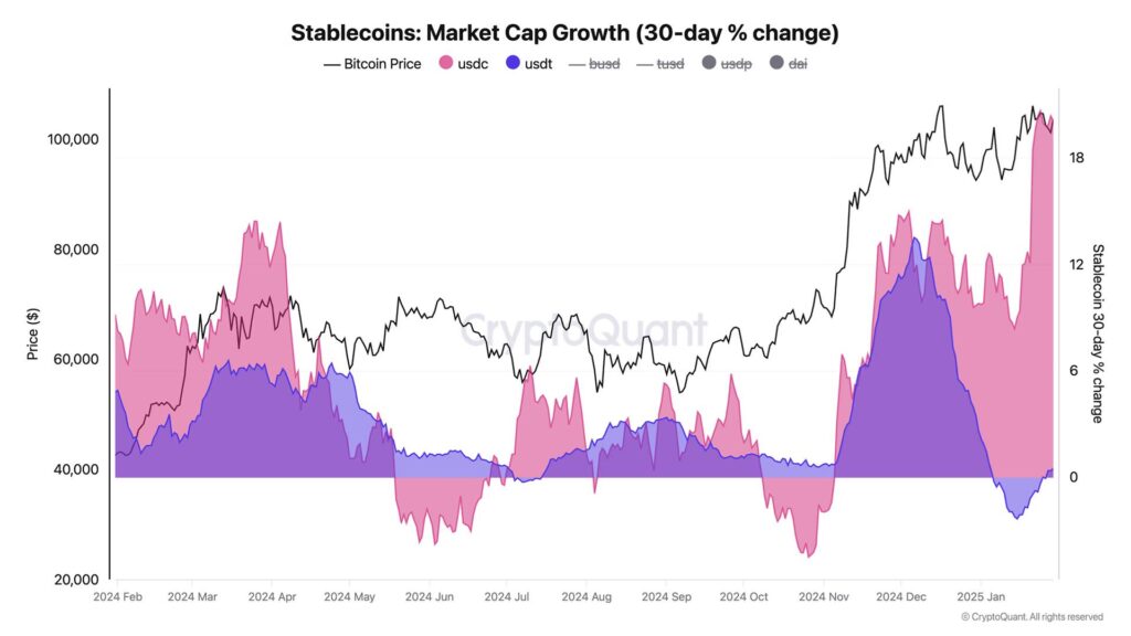 stablecoin marketcap 31012025 gamen.pro