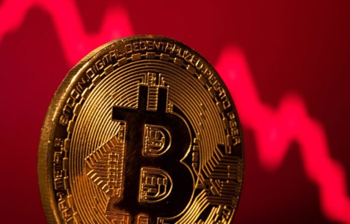 Bitcoin 5264 1731487281 gamen.pro