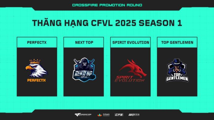 CFVL 20252602 5