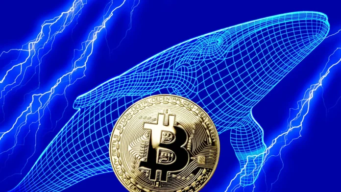 Bitcoin Whale shutterstock 1226570614 16x9 1 gID 7 gamen.pro