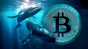Bitcoin whale 2024 10 05 at 132236 1920x1078 1