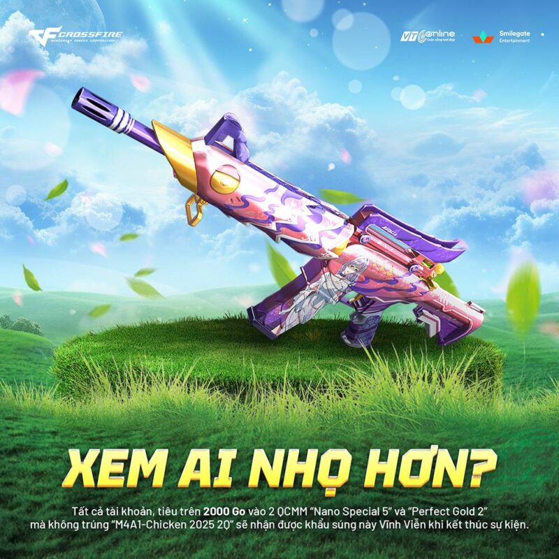 cf 25032025 gamen.pro 3