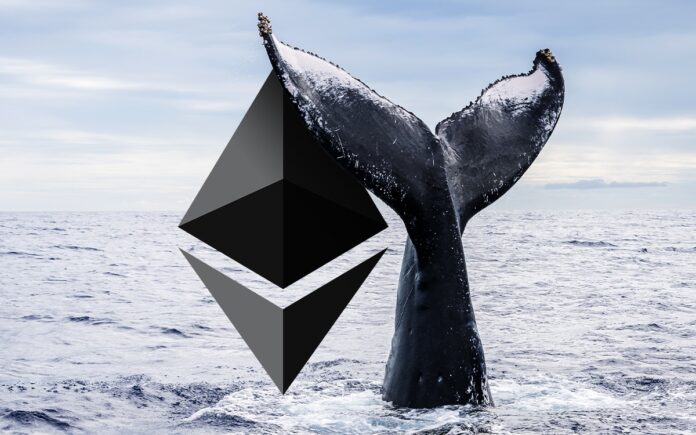 ethereum balinasi gamen.pro