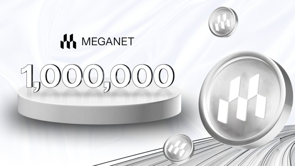 meganet 06042025