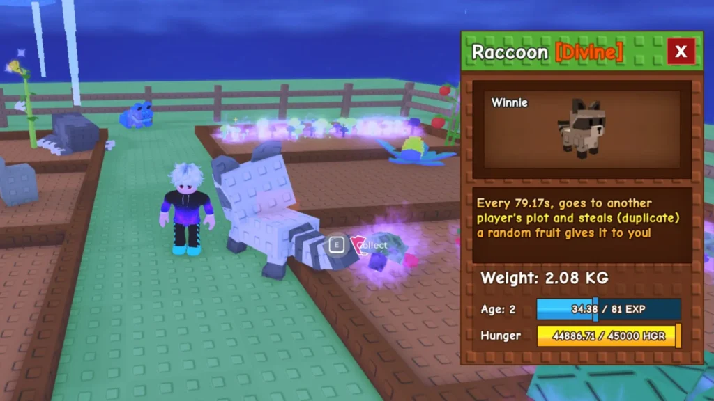 Cách sở hữu siêu trộm Raccoon trong Grow a Garden (Roblox) 2 Night Egg 3 grow a garden gamen.pro