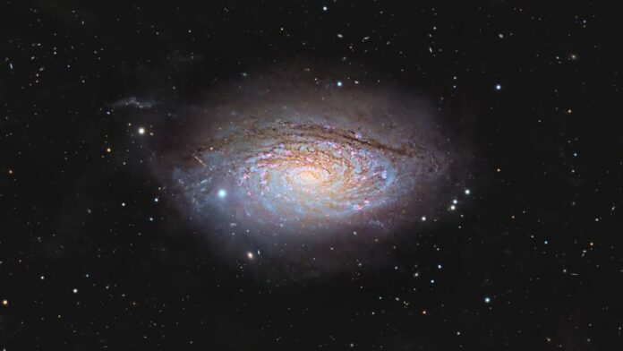 Sunflower Galaxy gamen.pro